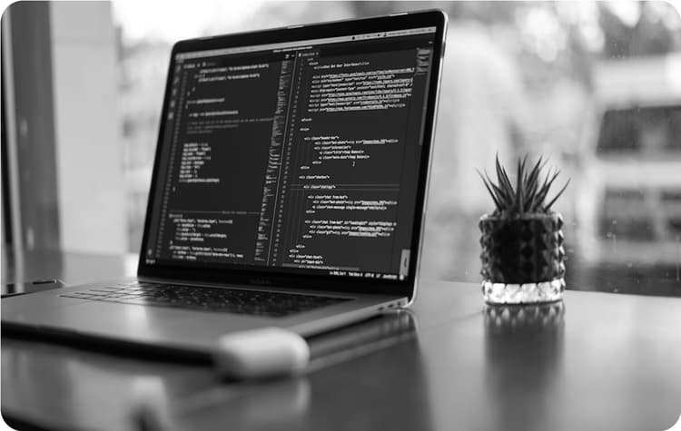Digital Product Development